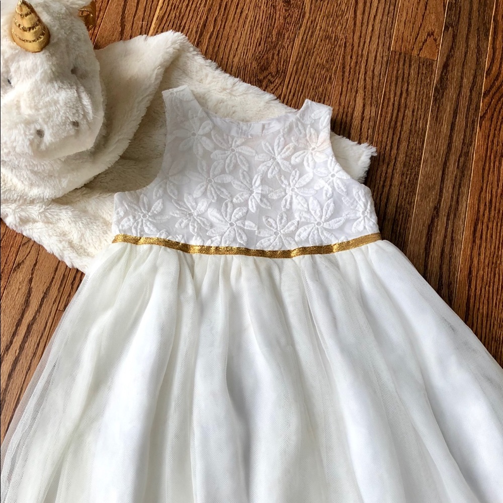 Cat and jack dress embroidered top, chiffon bottom